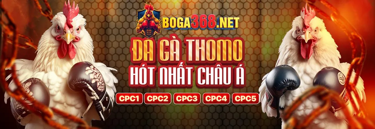 Happy66 - Nền tảng an toàn và bảo mật