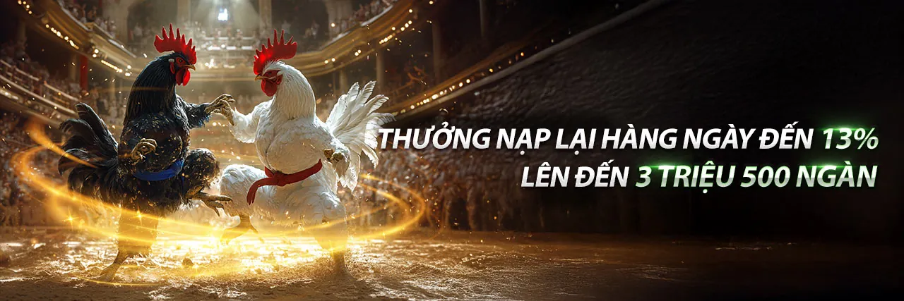 Tin tức happy66 mới nhất và các sự kiện nổi bật