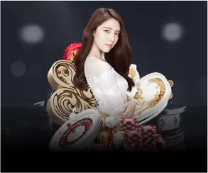 Cookie thiết yếu Happy66